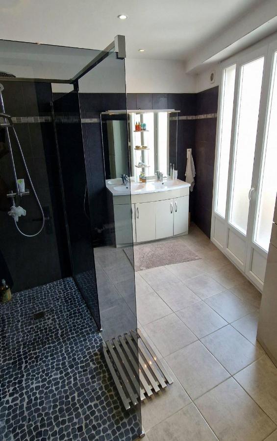 Tres Grand Appartement Lumineux Nizza Esterno foto
