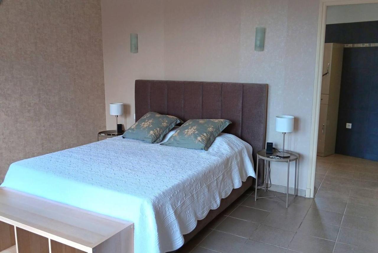 Tres Grand Appartement Lumineux Nizza Esterno foto