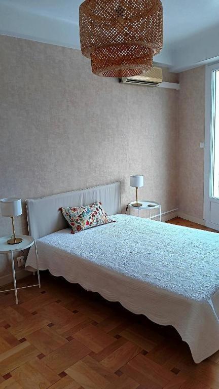 Tres Grand Appartement Lumineux Nizza Esterno foto